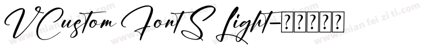 VCustom FontS Light字体转换
